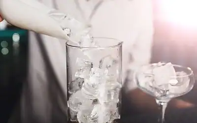 Best Ice Machines for Home – How to Choose the Perfect Model 2025