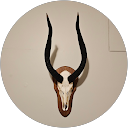 Inus De Wit profile picture