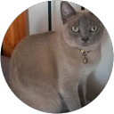 Lisinda Le Roux profile picture